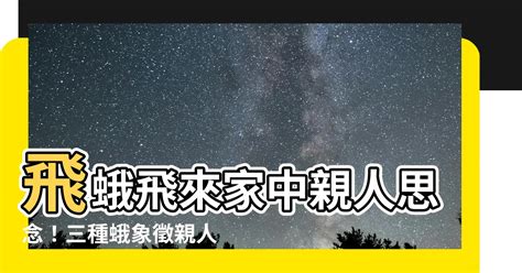 飛蛾 靈魂|【飛蛾 親人】飛蛾飛來家中親人思念！三種蛾象徵親人想念子女